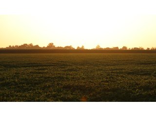 Property photo 60 - LAND AUCTION - 494.63+/- ACRES OFFERED IN 10 TRACTS IN AUDRAIN & MONROE COUNTIES MISSOURI