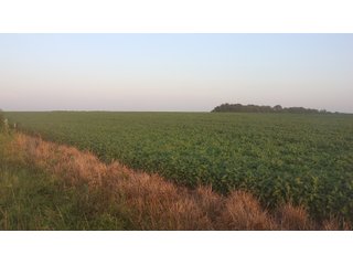 Property photo 129 - LAND AUCTION - 494.63+/- ACRES OFFERED IN 10 TRACTS IN AUDRAIN & MONROE COUNTIES MISSOURI