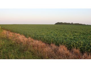 Property photo 130 - LAND AUCTION - 494.63+/- ACRES OFFERED IN 10 TRACTS IN AUDRAIN & MONROE COUNTIES MISSOURI