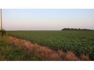 Property photo 131 - LAND AUCTION - 494.63+/- ACRES OFFERED IN 10 TRACTS IN AUDRAIN & MONROE COUNTIES MISSOURI