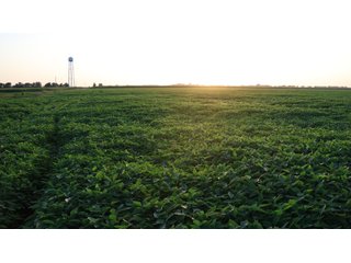 Property photo 61 - LAND AUCTION - 494.63+/- ACRES OFFERED IN 10 TRACTS IN AUDRAIN & MONROE COUNTIES MISSOURI