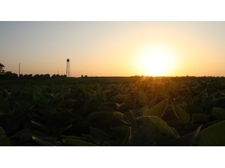 Property photo 62 - LAND AUCTION - 494.63+/- ACRES OFFERED IN 10 TRACTS IN AUDRAIN & MONROE COUNTIES MISSOURI