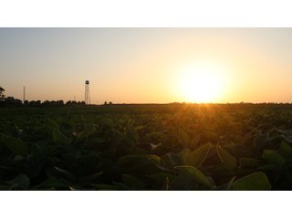 Property photo 63 - LAND AUCTION - 494.63+/- ACRES OFFERED IN 10 TRACTS IN AUDRAIN & MONROE COUNTIES MISSOURI
