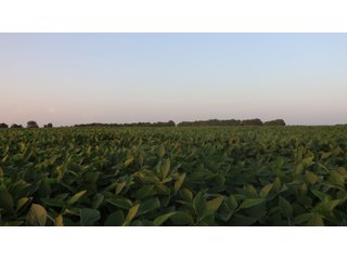 Property photo 64 - LAND AUCTION - 494.63+/- ACRES OFFERED IN 10 TRACTS IN AUDRAIN & MONROE COUNTIES MISSOURI