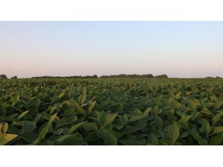 Property photo 65 - LAND AUCTION - 494.63+/- ACRES OFFERED IN 10 TRACTS IN AUDRAIN & MONROE COUNTIES MISSOURI