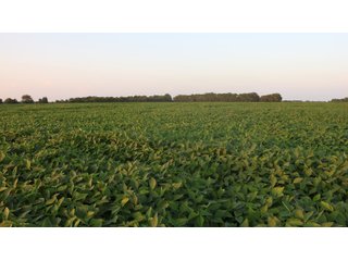 Property photo 66 - LAND AUCTION - 494.63+/- ACRES OFFERED IN 10 TRACTS IN AUDRAIN & MONROE COUNTIES MISSOURI