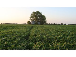 Property photo 67 - LAND AUCTION - 494.63+/- ACRES OFFERED IN 10 TRACTS IN AUDRAIN & MONROE COUNTIES MISSOURI