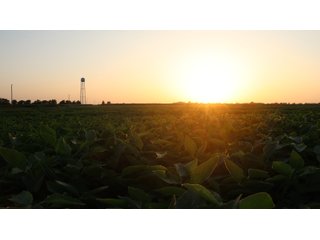 Property photo 69 - LAND AUCTION - 494.63+/- ACRES OFFERED IN 10 TRACTS IN AUDRAIN & MONROE COUNTIES MISSOURI