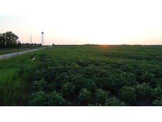 Property photo 70 - LAND AUCTION - 494.63+/- ACRES OFFERED IN 10 TRACTS IN AUDRAIN & MONROE COUNTIES MISSOURI