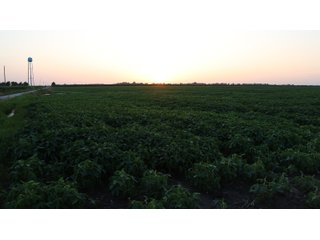 Property photo 71 - LAND AUCTION - 494.63+/- ACRES OFFERED IN 10 TRACTS IN AUDRAIN & MONROE COUNTIES MISSOURI