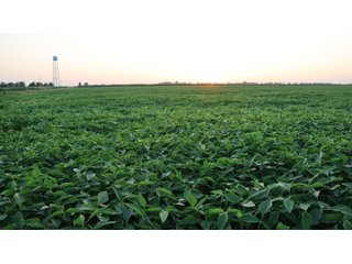 Property photo 72 - LAND AUCTION - 494.63+/- ACRES OFFERED IN 10 TRACTS IN AUDRAIN & MONROE COUNTIES MISSOURI