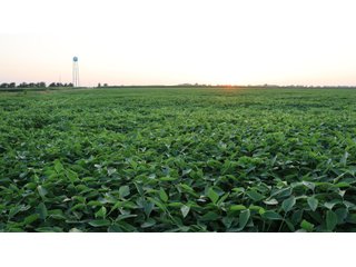 Property photo 73 - LAND AUCTION - 494.63+/- ACRES OFFERED IN 10 TRACTS IN AUDRAIN & MONROE COUNTIES MISSOURI