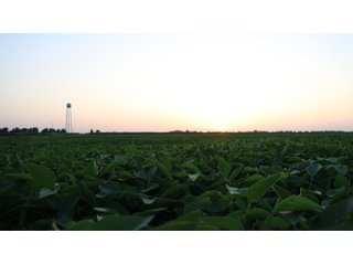 Property photo 74 - LAND AUCTION - 494.63+/- ACRES OFFERED IN 10 TRACTS IN AUDRAIN & MONROE COUNTIES MISSOURI