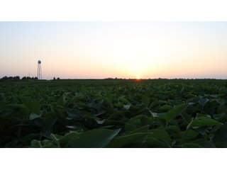 Property photo 75 - LAND AUCTION - 494.63+/- ACRES OFFERED IN 10 TRACTS IN AUDRAIN & MONROE COUNTIES MISSOURI