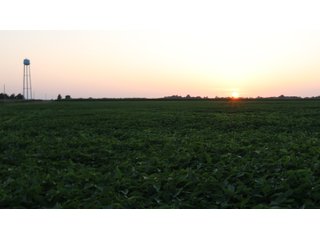 Property photo 76 - LAND AUCTION - 494.63+/- ACRES OFFERED IN 10 TRACTS IN AUDRAIN & MONROE COUNTIES MISSOURI