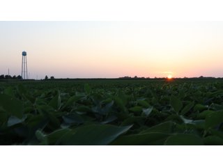 Property photo 77 - LAND AUCTION - 494.63+/- ACRES OFFERED IN 10 TRACTS IN AUDRAIN & MONROE COUNTIES MISSOURI