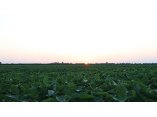 Property photo 78 - LAND AUCTION - 494.63+/- ACRES OFFERED IN 10 TRACTS IN AUDRAIN & MONROE COUNTIES MISSOURI