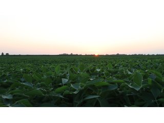 Property photo 79 - LAND AUCTION - 494.63+/- ACRES OFFERED IN 10 TRACTS IN AUDRAIN & MONROE COUNTIES MISSOURI