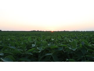 Property photo 80 - LAND AUCTION - 494.63+/- ACRES OFFERED IN 10 TRACTS IN AUDRAIN & MONROE COUNTIES MISSOURI