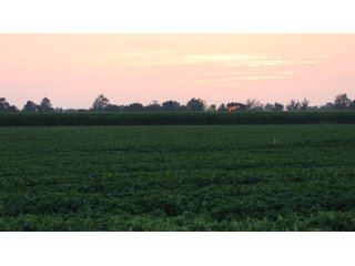 Property photo 81 - LAND AUCTION - 494.63+/- ACRES OFFERED IN 10 TRACTS IN AUDRAIN & MONROE COUNTIES MISSOURI