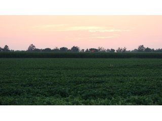 Property photo 82 - LAND AUCTION - 494.63+/- ACRES OFFERED IN 10 TRACTS IN AUDRAIN & MONROE COUNTIES MISSOURI
