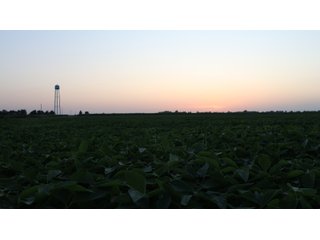 Property photo 83 - LAND AUCTION - 494.63+/- ACRES OFFERED IN 10 TRACTS IN AUDRAIN & MONROE COUNTIES MISSOURI