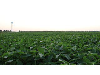 Property photo 84 - LAND AUCTION - 494.63+/- ACRES OFFERED IN 10 TRACTS IN AUDRAIN & MONROE COUNTIES MISSOURI