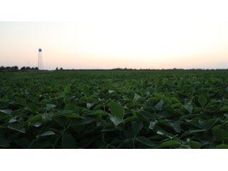 Property photo 86 - LAND AUCTION - 494.63+/- ACRES OFFERED IN 10 TRACTS IN AUDRAIN & MONROE COUNTIES MISSOURI