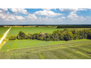 Property photo 133 - LAND AUCTION - 494.63+/- ACRES OFFERED IN 10 TRACTS IN AUDRAIN & MONROE COUNTIES MISSOURI