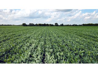 Property photo 88 - LAND AUCTION - 494.63+/- ACRES OFFERED IN 10 TRACTS IN AUDRAIN & MONROE COUNTIES MISSOURI