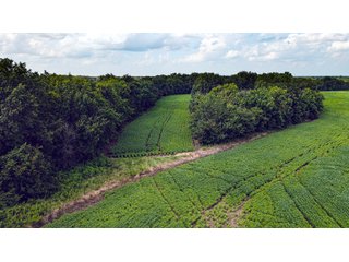 Property photo 93 - LAND AUCTION - 494.63+/- ACRES OFFERED IN 10 TRACTS IN AUDRAIN & MONROE COUNTIES MISSOURI