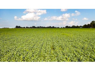 Property photo 145 - LAND AUCTION - 494.63+/- ACRES OFFERED IN 10 TRACTS IN AUDRAIN & MONROE COUNTIES MISSOURI