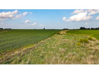 Property photo 146 - LAND AUCTION - 494.63+/- ACRES OFFERED IN 10 TRACTS IN AUDRAIN & MONROE COUNTIES MISSOURI