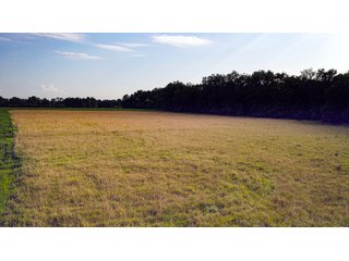 Property photo 149 - LAND AUCTION - 494.63+/- ACRES OFFERED IN 10 TRACTS IN AUDRAIN & MONROE COUNTIES MISSOURI