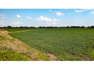 Property photo 150 - LAND AUCTION - 494.63+/- ACRES OFFERED IN 10 TRACTS IN AUDRAIN & MONROE COUNTIES MISSOURI