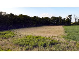Property photo 141 - LAND AUCTION - 494.63+/- ACRES OFFERED IN 10 TRACTS IN AUDRAIN & MONROE COUNTIES MISSOURI