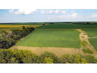 Property photo 142 - LAND AUCTION - 494.63+/- ACRES OFFERED IN 10 TRACTS IN AUDRAIN & MONROE COUNTIES MISSOURI