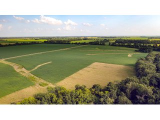 Tract 7 & 8 - LAND AUCTION - 494.63+/- ACRES OFFERED IN 10 TRACTS IN AUDRAIN & MONROE COUNTIES MISSOURI
