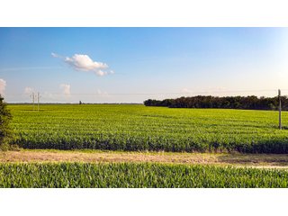 Property photo 175 - LAND AUCTION - 494.63+/- ACRES OFFERED IN 10 TRACTS IN AUDRAIN & MONROE COUNTIES MISSOURI