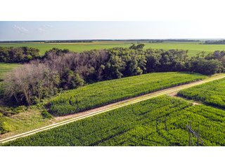 Property photo 176 - LAND AUCTION - 494.63+/- ACRES OFFERED IN 10 TRACTS IN AUDRAIN & MONROE COUNTIES MISSOURI