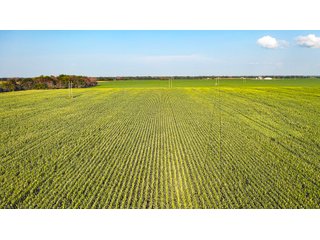 Property photo 177 - LAND AUCTION - 494.63+/- ACRES OFFERED IN 10 TRACTS IN AUDRAIN & MONROE COUNTIES MISSOURI