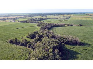 Tract 9 & 10 - LAND AUCTION - 494.63+/- ACRES OFFERED IN 10 TRACTS IN AUDRAIN & MONROE COUNTIES MISSOURI