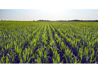 Property photo 162 - LAND AUCTION - 494.63+/- ACRES OFFERED IN 10 TRACTS IN AUDRAIN & MONROE COUNTIES MISSOURI