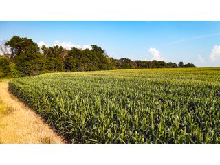 Property photo 168 - LAND AUCTION - 494.63+/- ACRES OFFERED IN 10 TRACTS IN AUDRAIN & MONROE COUNTIES MISSOURI