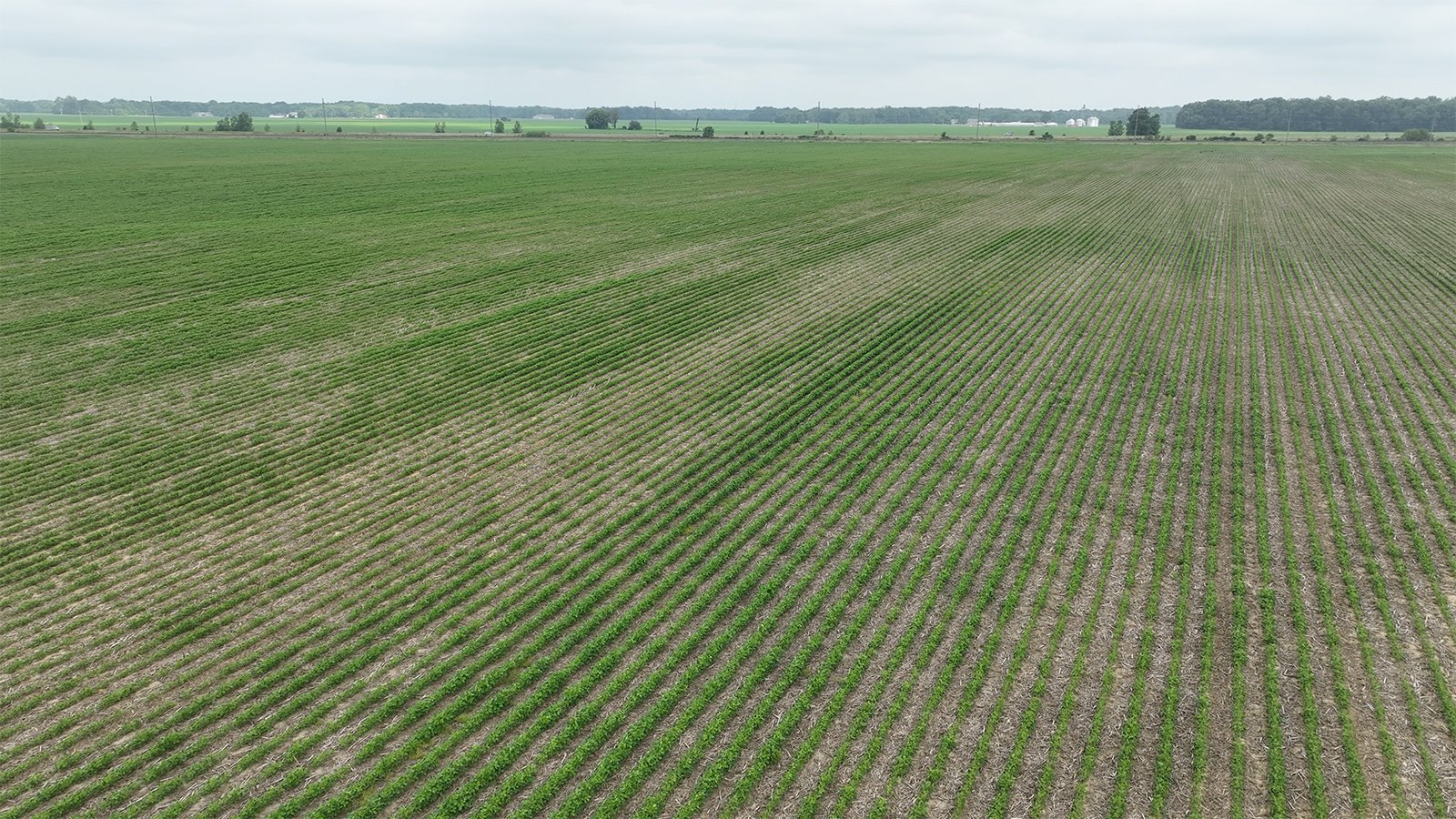 Property photo 12 - CANCELLED - LAND AUCTION - 70.5+/- ACRES OFFERED IN 1 TRACT IN TIPPECANOE COUNTY, INDIANA