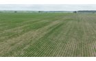 Property photo 12 - CANCELLED - LAND AUCTION - 70.5+/- ACRES OFFERED IN 1 TRACT IN TIPPECANOE COUNTY, INDIANA