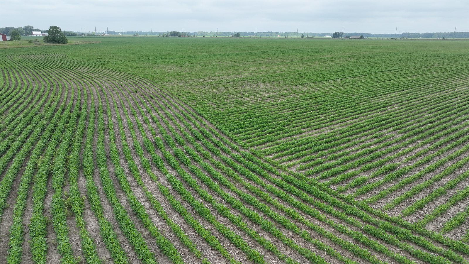 Property photo 1 - CANCELLED - LAND AUCTION - 70.5+/- ACRES OFFERED IN 1 TRACT IN TIPPECANOE COUNTY, INDIANA