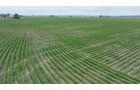 Property photo 1 - CANCELLED - LAND AUCTION - 70.5+/- ACRES OFFERED IN 1 TRACT IN TIPPECANOE COUNTY, INDIANA