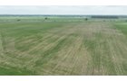 Property photo 3 - CANCELLED - LAND AUCTION - 70.5+/- ACRES OFFERED IN 1 TRACT IN TIPPECANOE COUNTY, INDIANA