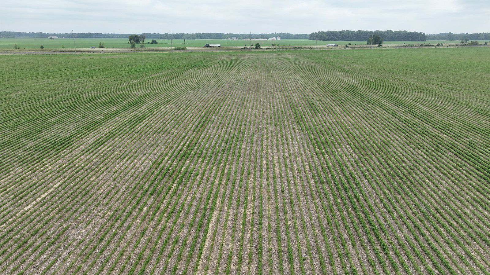 Property photo 8 - CANCELLED - LAND AUCTION - 70.5+/- ACRES OFFERED IN 1 TRACT IN TIPPECANOE COUNTY, INDIANA